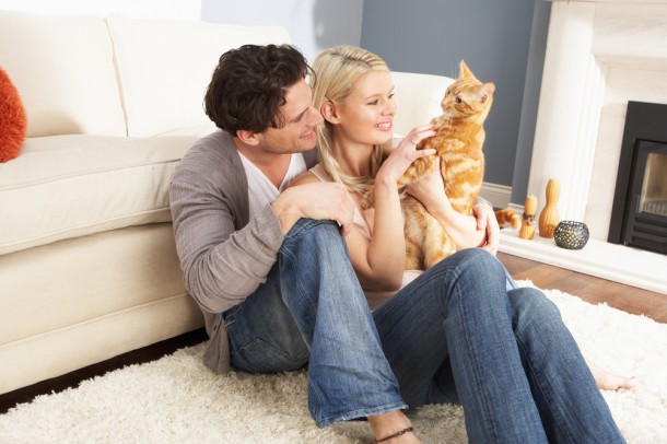 Getting a Cat