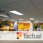 Factual