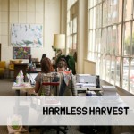 Harmless Harvest_Sailthru