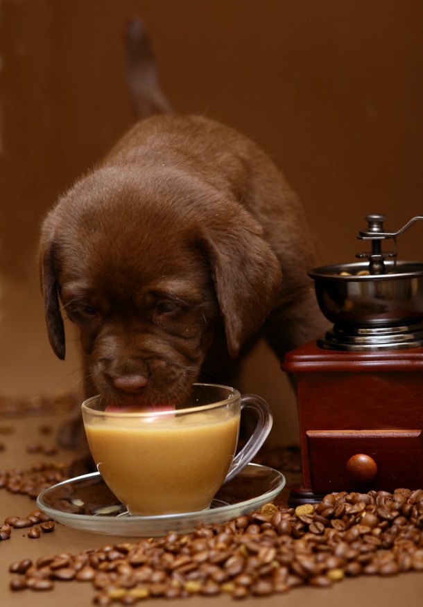 shutterstock_34626340