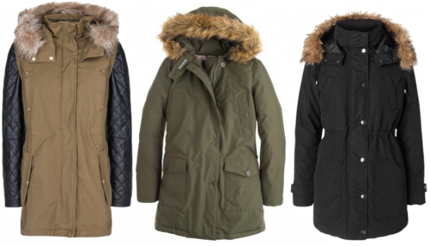The Fur-Hooded Parka