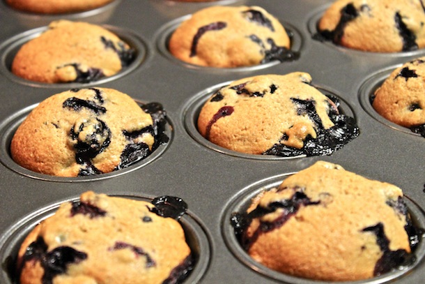Blueberry Muffins