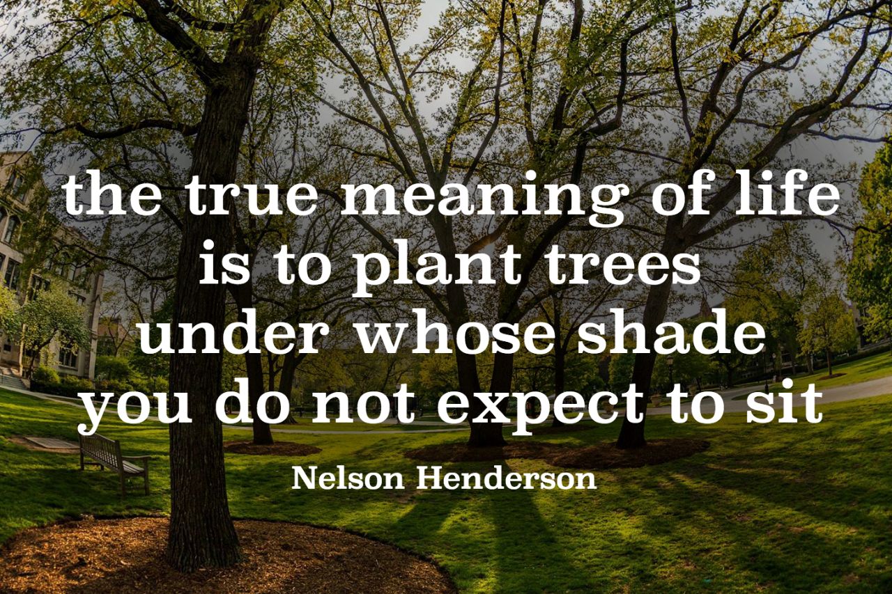 45 Inspirational Quotes That Will Get You Through the Work Week Thursday Reflect on All You ve Done
