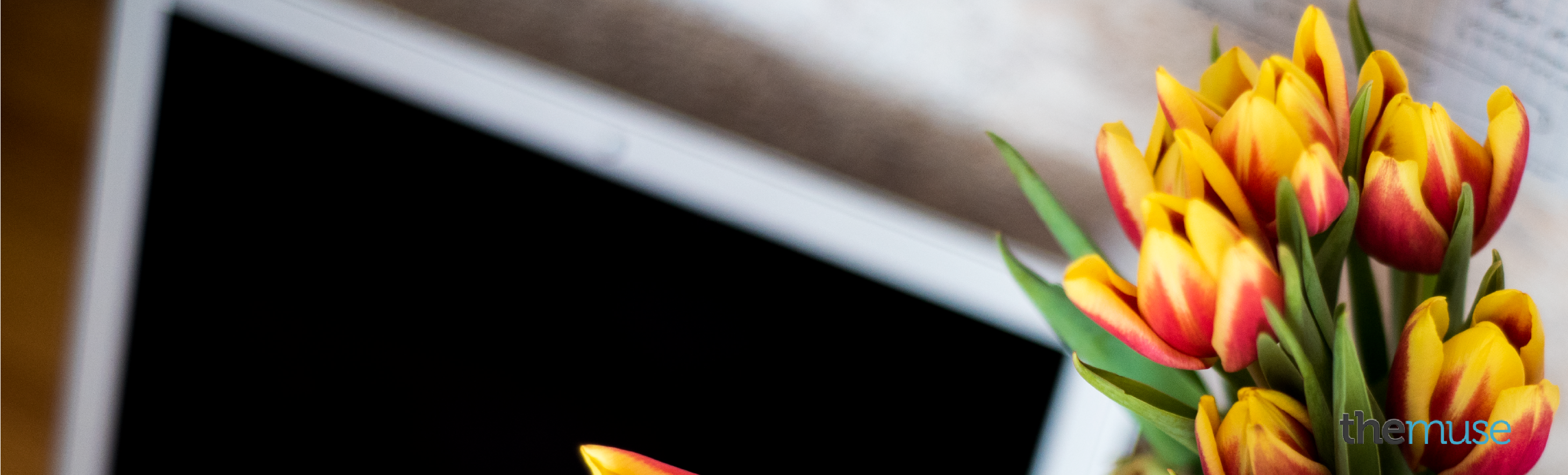 23 Free LinkedIn Backgrounds and Cover Photos - The Muse 23 Free LinkedIn Backgrounds and Cover Photos - The Muse