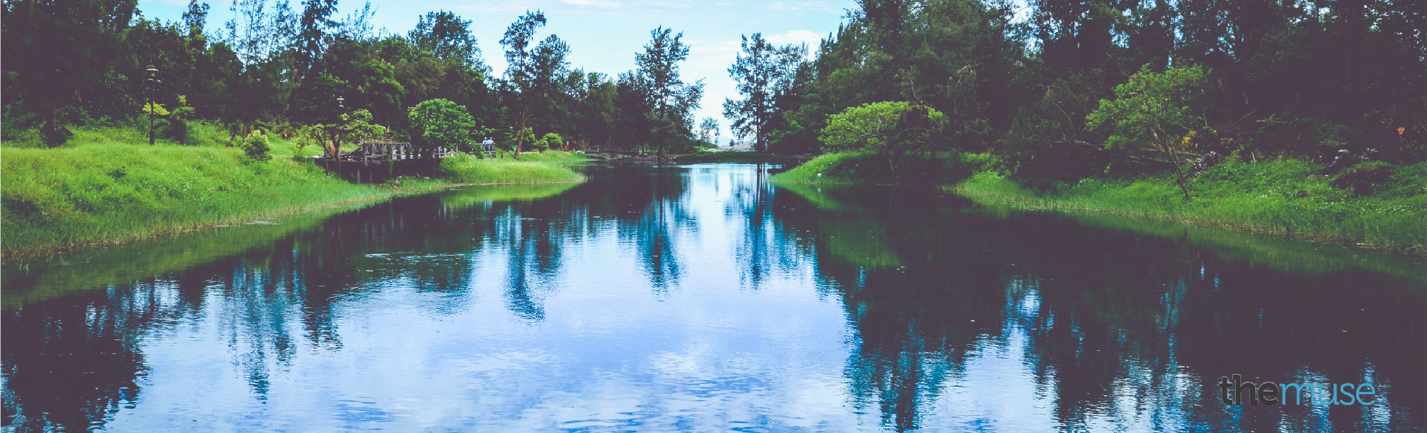 Nature Professional Linkedin Background Nature Professional Linkedin Background