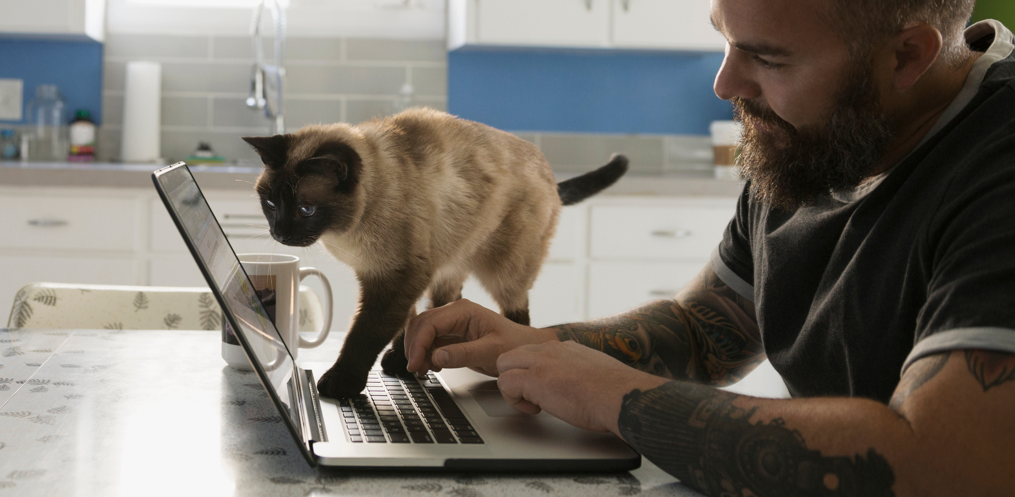 7 Resources For People Working Remotely The Muse 7 Resources For People Working Remotely The Muse