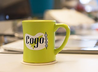 Cogo Labs Careers