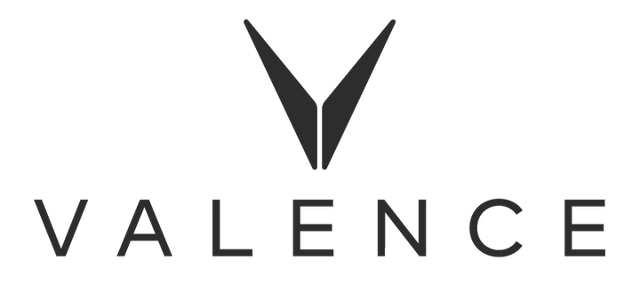Valenz Icon Valence Jobs and Company Culture