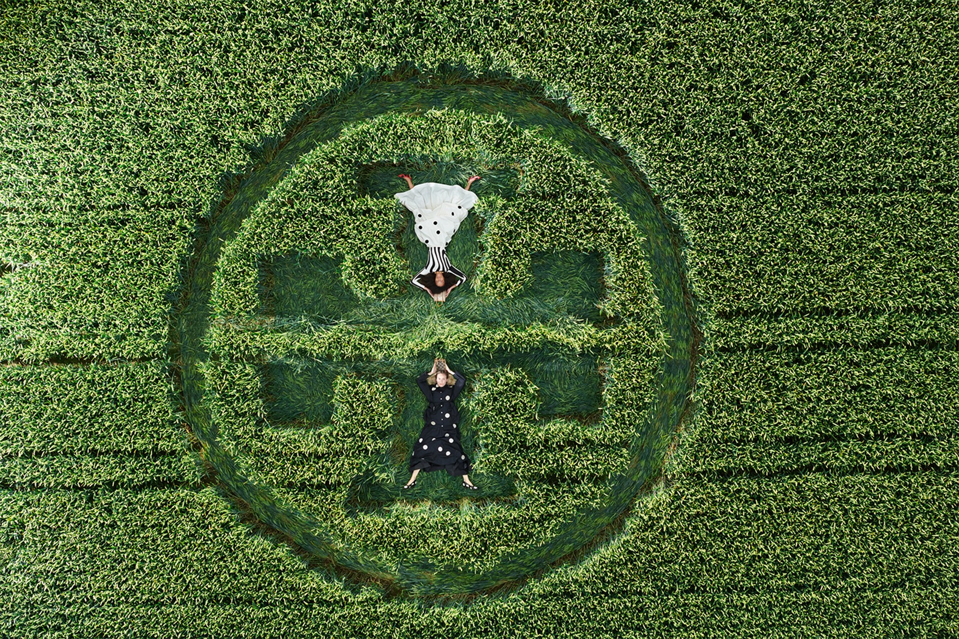 workday login tory burch