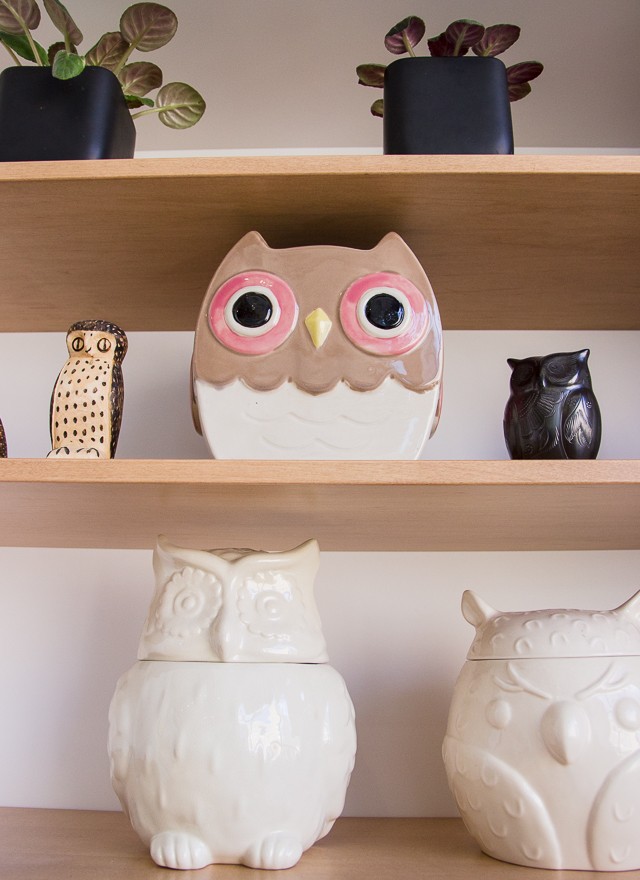 Top 5 tecno Duolingo | Careers