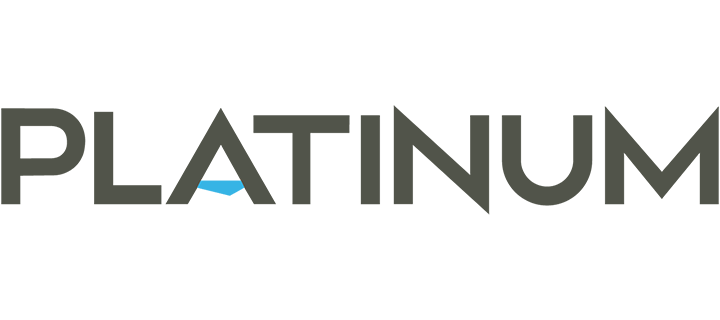 Platinum LLC Logo