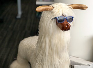 Zappos Careers