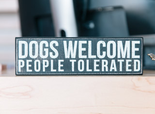 DogVacay Careers