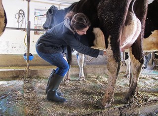 Farmigo Careers