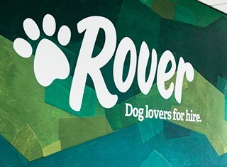 Careers - What Rover Does
Rover 101