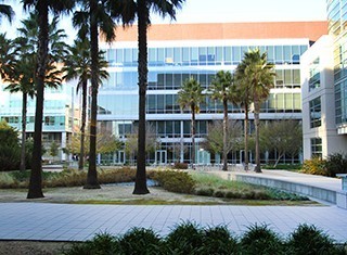 Careers - See Technology at Gap's profile 